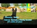 MR1 &quot;Mafia&quot;. Slisarenko Dmitro. Malinois Garmata s Planety Saraksh 176 points 3rd place