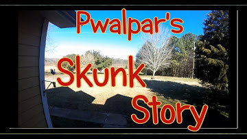 Pwalpar VLOG Skunk Story 1 24 2016