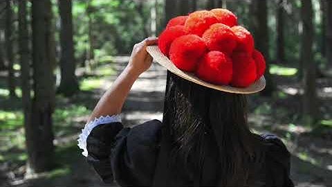 CS INSTRUMENTS Image Video