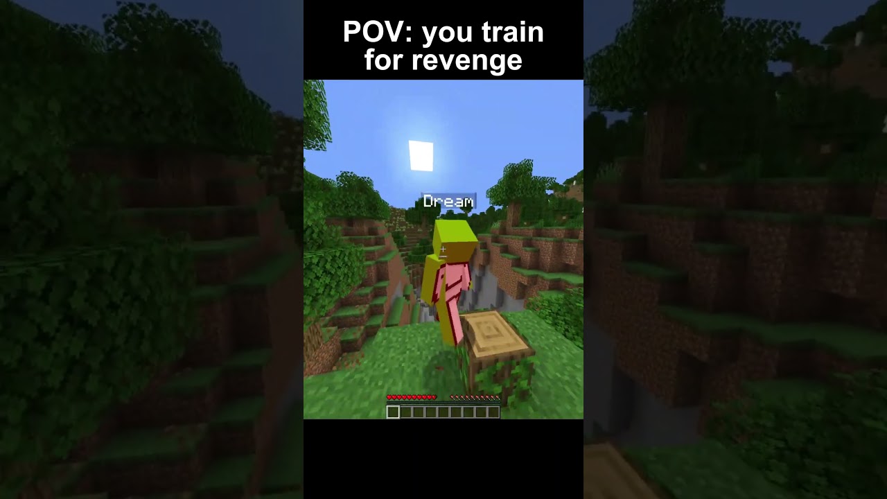 Minecraft Revenge