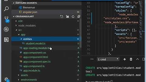Crud Angular7 FireBase Part 1