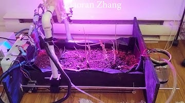 MECH 4806 | Carleton University | Group 5 - Winter 2020 | GardenBot