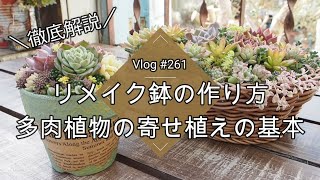 Vlog 261] [Succulents] A thorough explanation 💖 How to make a