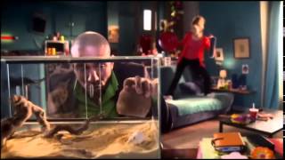 Scenes De Ménage, Cédric Et Marion