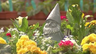 Warm Weather Gives Delaware County Residents a Hint of Spring | NBC10 Philadelphia