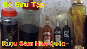 Bộ Sưu Tập Rượu Sâm Hàn Quốc Trải Nghiệm - Khắc Mẫn Vlog