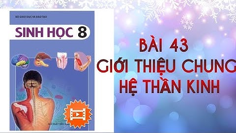 Hệ thần kinh sinh dưỡng gồm những bộ phận nào