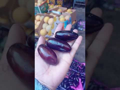 اسعار البلح في وكالة الحضره اكسبلور اسكندريه