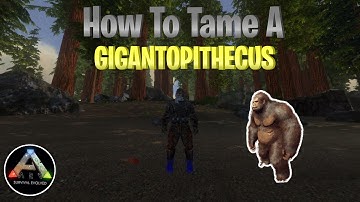 How To Tame A Gigantopithecus| Ark Mobile