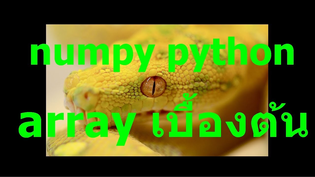 array คือ  2022 Update  numpy python array เบื้องต้น อาเรย์ คืออะไร อธิบาย array การใช้อาเรย์ ตัวแปร array การเข้าถึงข้อมูล
