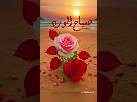 اللهم ياسميع الدعاء ياواسع العطاء لا تدع لنا ذنبا إلا غفرته اكسبلور