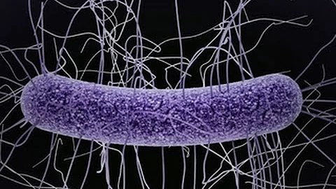 Antibiotic overuse putting patients at risk, Centers for Disease Control says