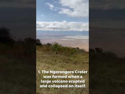 Βίντεο: Περιοχή Διατήρησης Ngorongoro: Ο πλήρης οδηγός