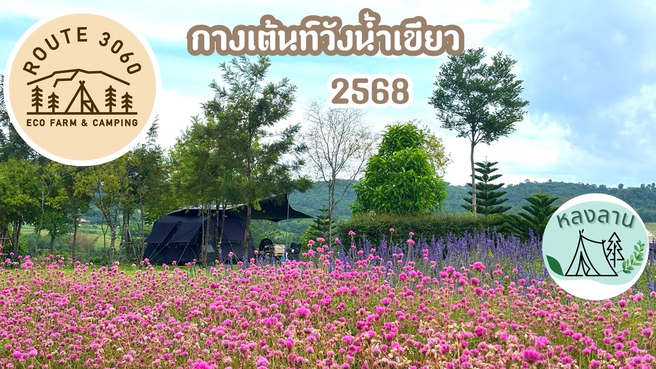 กางเต็นท์หน้าฝน ที่ Route 3060 วังน้ำเขียว ปี 2568