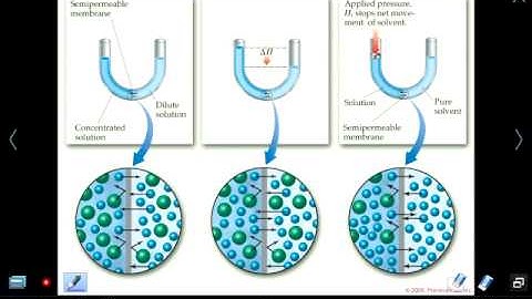 Mr Z AP Chemistry Chapter 13 lesson 4: Colligative Properties and Osmotic Pressure