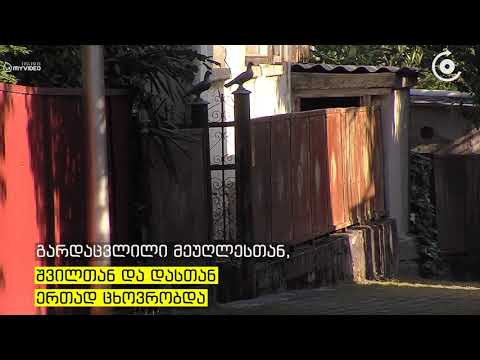 ქუთაისში 67 წლის ქალი მისივე დამ მოკლა