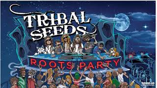 Tribal Seeds - Empress (432)