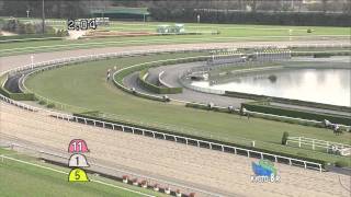 2011年11月12日 京都ジャンプS（Ｊ・ＧⅢ） テイエムハリアー