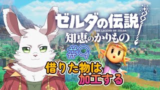 知恵より武闘派『ゼルダの伝説 知恵のかりもの』 #9