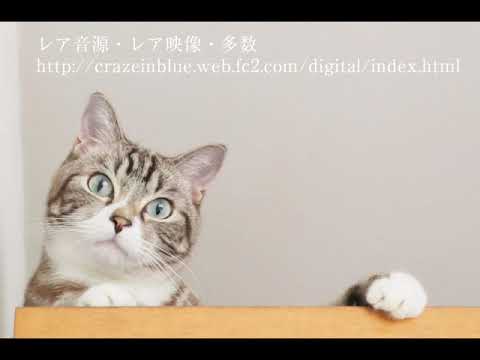 裸のラリーズ　1997 11 3 MANDALA2 アーサードイル