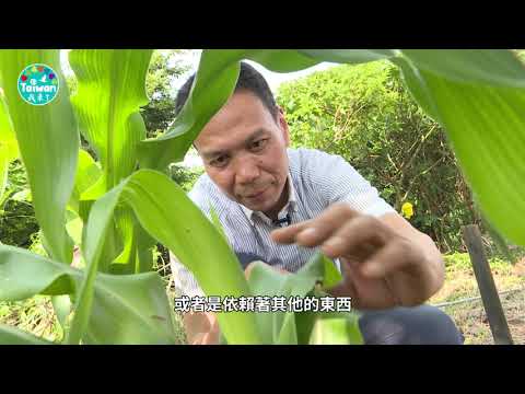 來自日本的台灣女婿-月足吉伸，用生命推廣自然農法，一起跟著他的腳步看見新台灣。