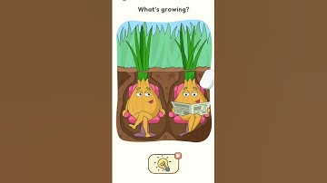 #indiancaptain #gamedesign #gamedevelopment #gameplay #level #indiancricketer #gamelevel