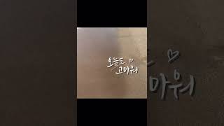 오늘도 고마워 프사하기 좋은 영상 #예쁜글씨 #파도 #손글씨영상