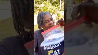 You Wont Believe How Many Collard Greens I Grew From This One Zip Lock Bag