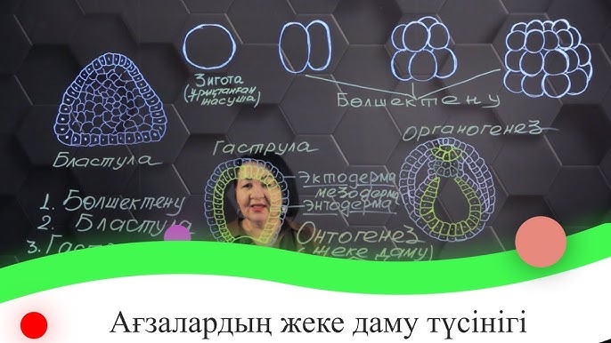 Гетеросексуалдар гомосексуалистерді еркелетеді Гетеросексуалдар гомосексуалистерді еркелетеді