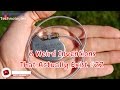 6 Weird Inventions That Actually Exist #22