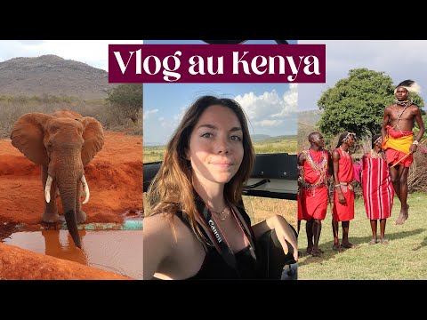 Vlog KENYA : Je vous fais vivre le rêve de ma vie !