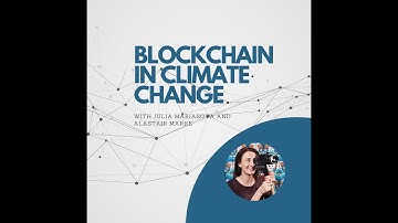 Blockchain in Climate Change and Sustainability