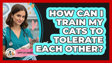 How Can I Train My Cats To Tolerate Each Other? - Happy Cat Handbook