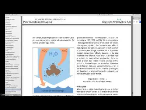 Video: Forskellen Mellem Bioakkumulering Og Biomagnifikation