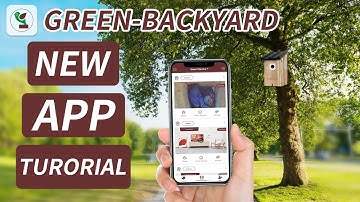 Green-Backyard Bird Box Cameras: New APP Tutorial