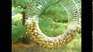 Wbu Peanut Wreath Bird Feeder
