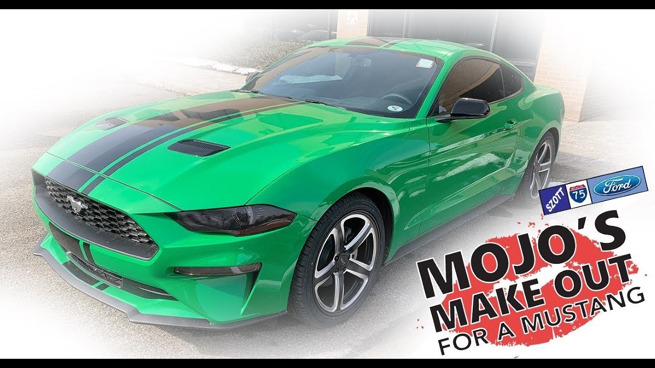 Mojo S Make Out With A Mustang 2018 You Mojo S Make Out With A Mustang 2018