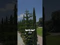 ايه ابتسم بسمتك تحييني تصميم في شارع الفن ياسر الشهراني ايه ابتسم