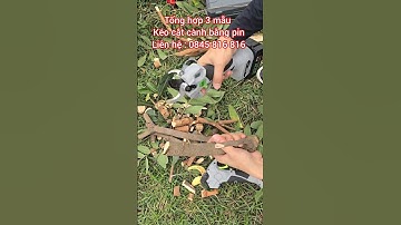 máy cắt cành , máy bấm tỉa cành bằng pin #maycatcanh #maycatcanhpin #keocatcanhdungpin