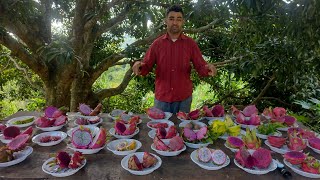 Conheça Quarenta variedades de pitaya em um só vídeo!