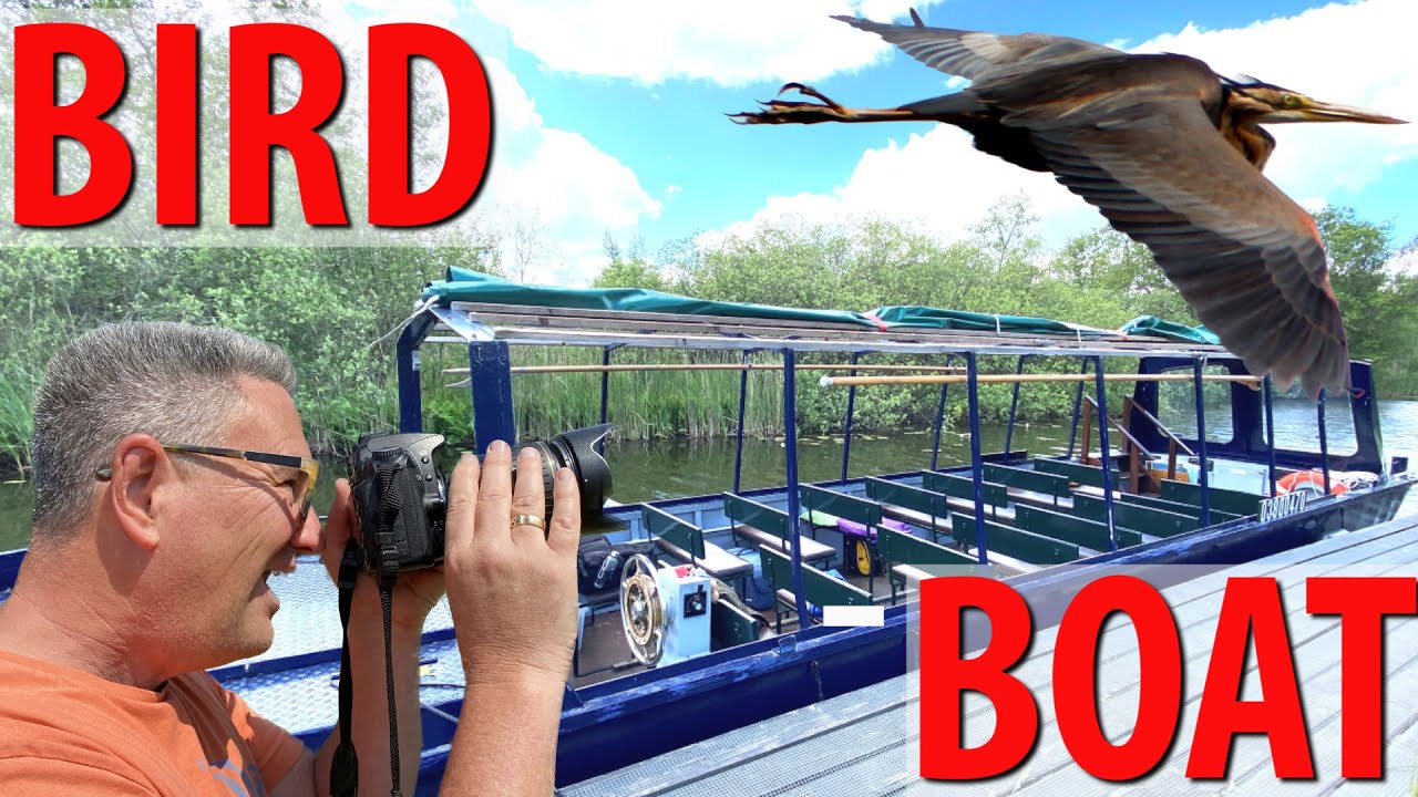 Amsterdam Nature Boat Tour YouTube