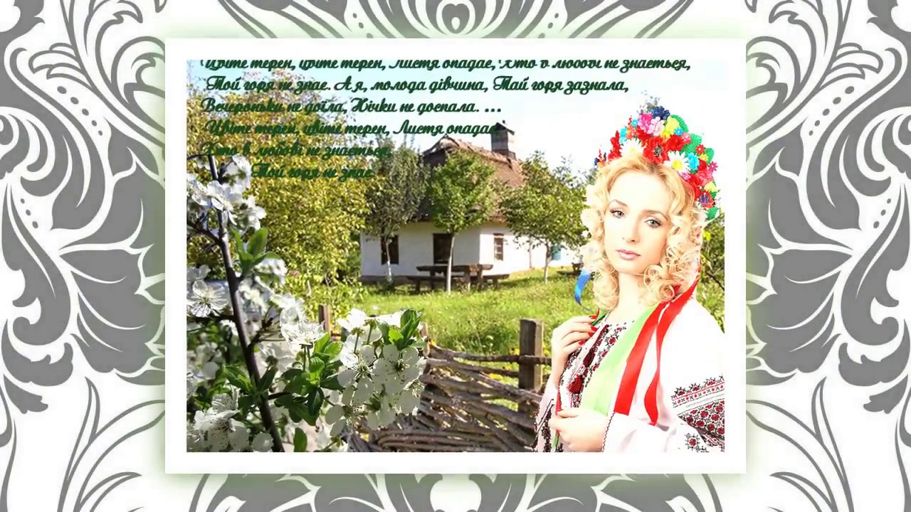 песня цвета терен