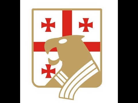 საქართველოს ჩემპიონატი ჭაბუკთა შორის 2018 - TATAMI 2