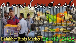 Lalukhet Birds Market Sunday video Latest update 06- 03-2022 Urdu\/ Hindi