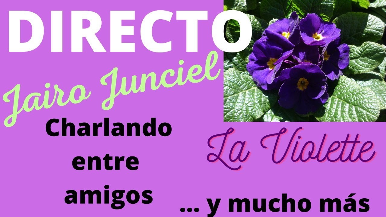 D36 LIFE STYLE, GOUTAL LA VIOLETTE, CAMBIOS en ADELANTE ¡REGALO SORPRESA:  Jairo Junciel GRACIAS!