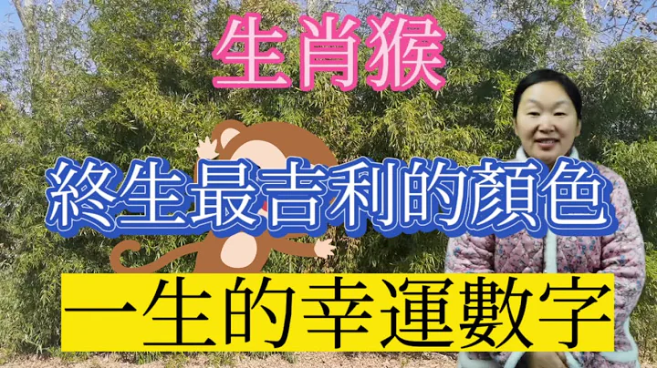 生肖屬相猴！屬猴人終身最吉利的顏色！生肖屬猴人一生的幸運數字！本期視頻講述生肖猴！#生肖 #風水 #財運 #佛教 - 天天要聞