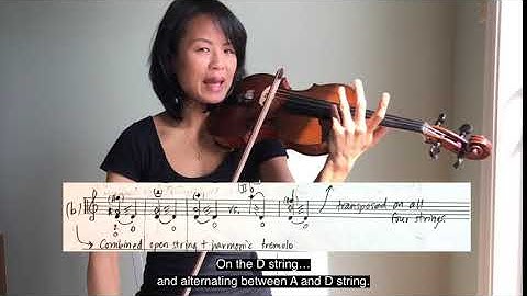 Harmonic with Open String Tremolo - Extended Techniques for Violin