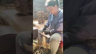 Crafting roof tiles from clay.#claywork #rooftiles #construction #craftprocess #fyp #shorts