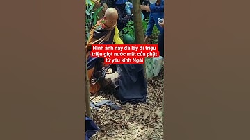 hình ảnh này đã lấy đi triệu triệu giọt nước mắt của phật tử yêu kính Ngài#suminhtue #shortvideo