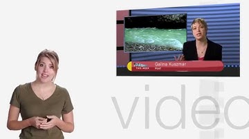 New to Multi Camera and Streaming